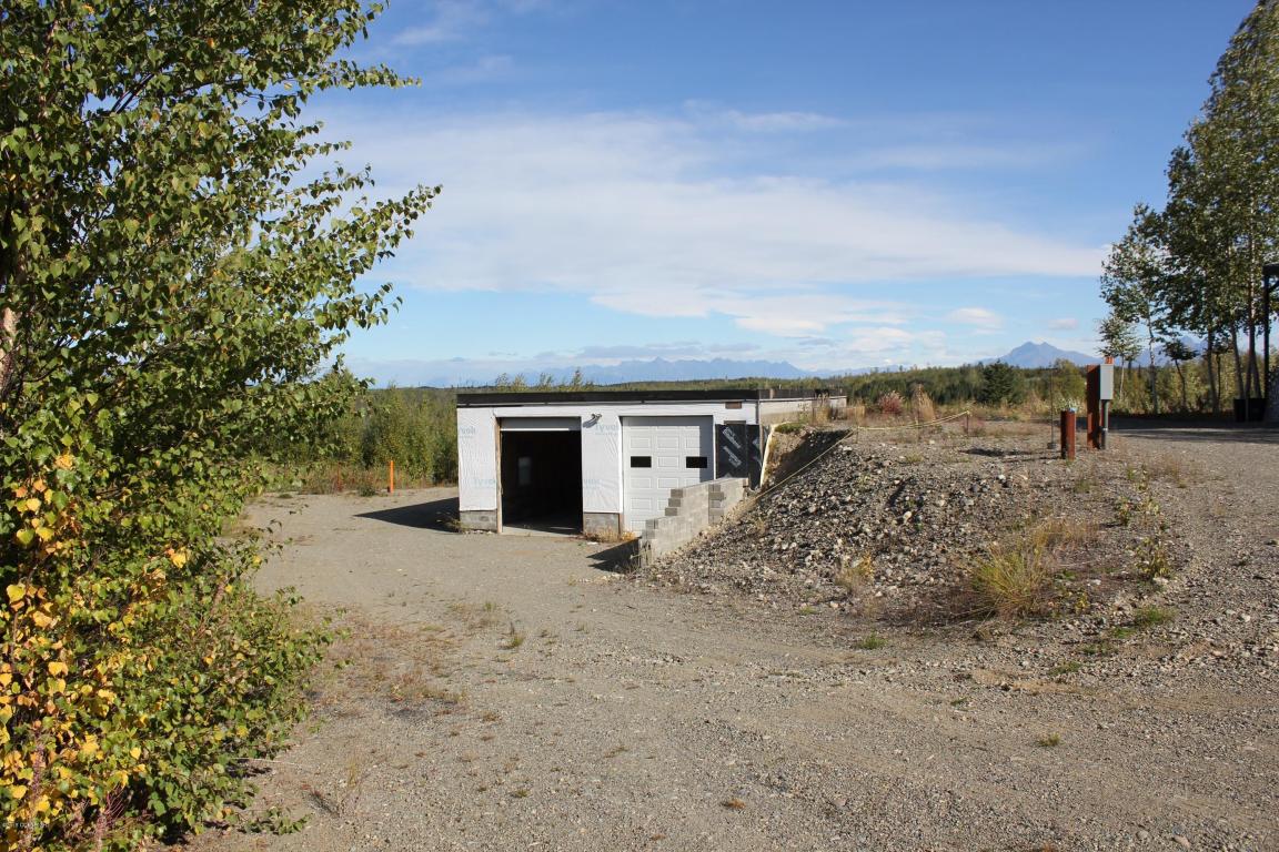 13345 W Upper Birch Drive, Big Lake, AK 99652