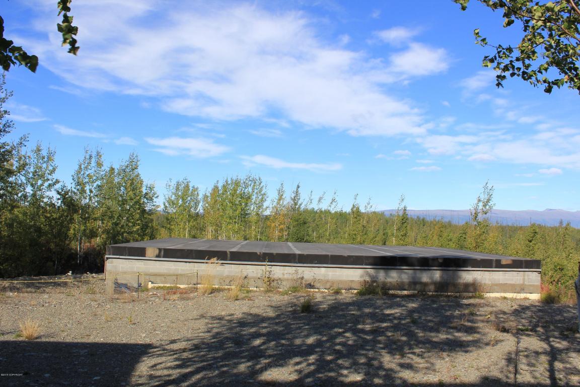 13345 W Upper Birch Drive, Big Lake, AK 99652