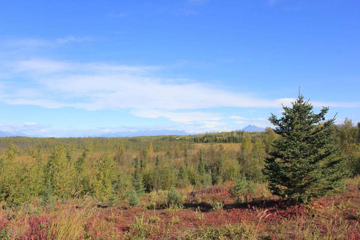 13345 W Upper Birch Drive, Big Lake, AK 99652