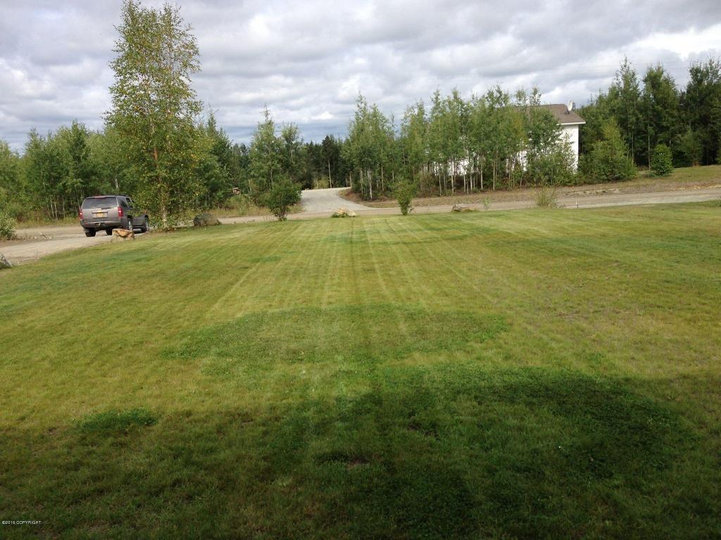 14036 W Jojoba Rd, Big Lake, United States 99652