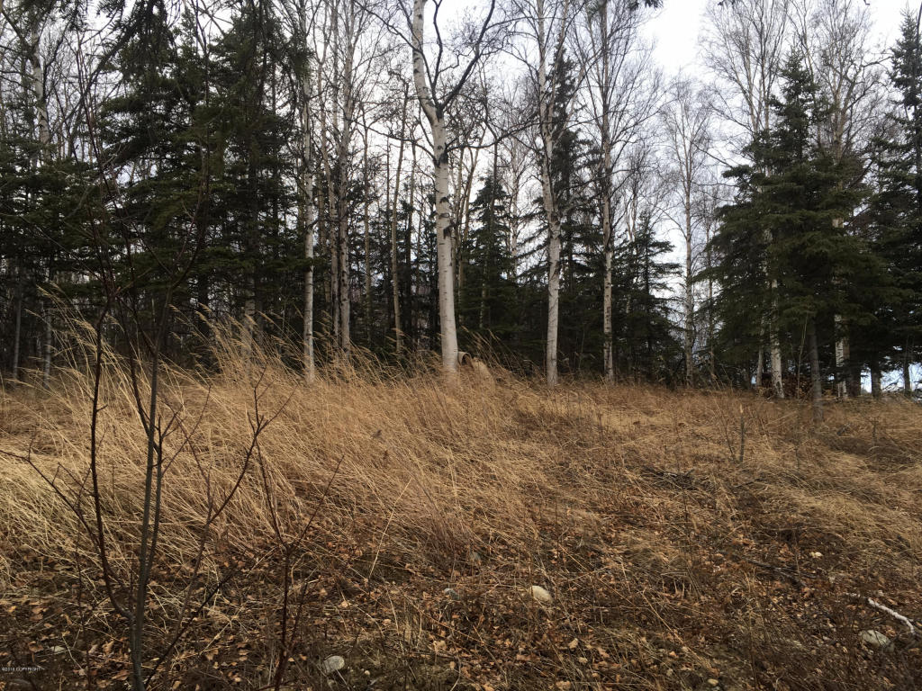 501 W Pioneer Drive, Wasilla, AK 99654