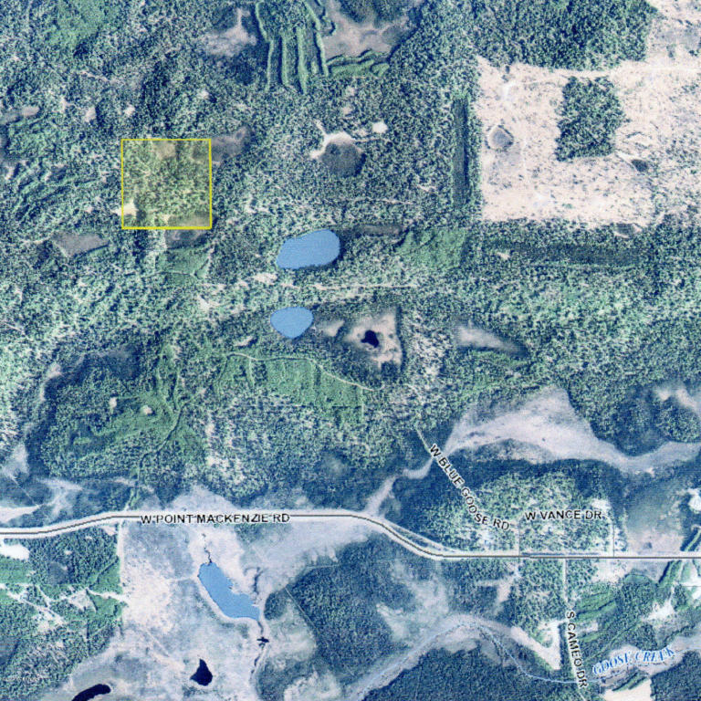 C002 No Road, Wasilla, AK 99654