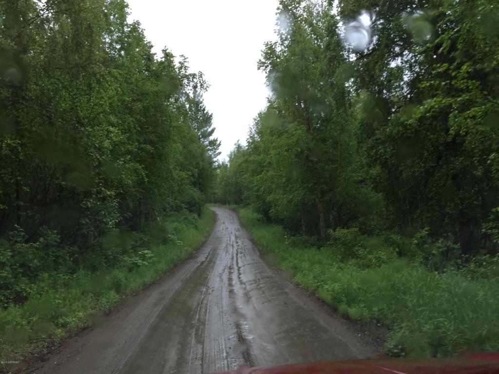 14191 S Cameo Drive, Wasilla, AK 99654