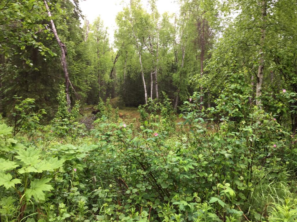 14191 S Cameo Drive, Wasilla, AK 99654
