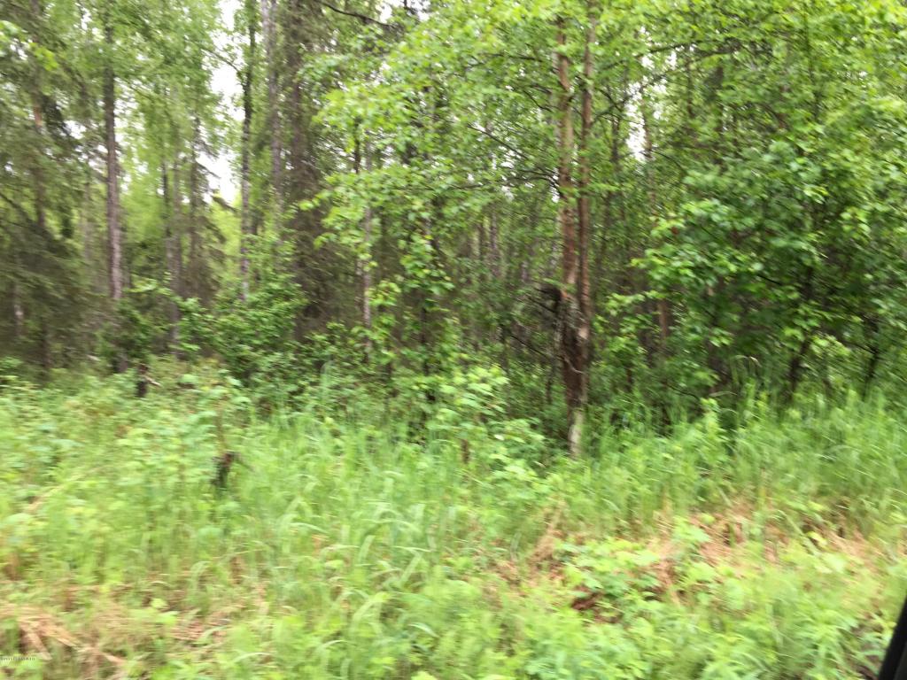 14191 S Cameo Drive, Wasilla, AK 99654