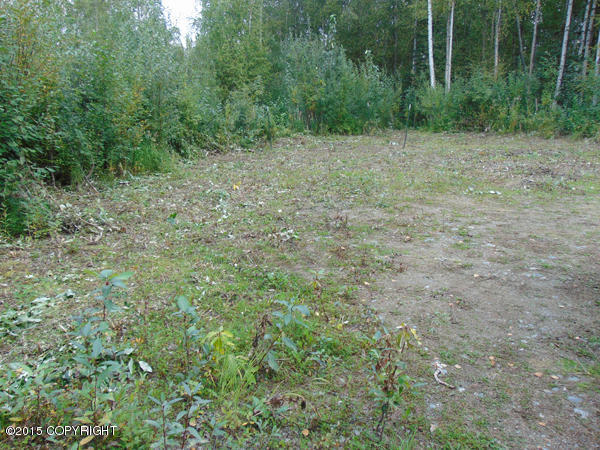 3616 S Dawn Lake Drive, Wasilla, AK 99654