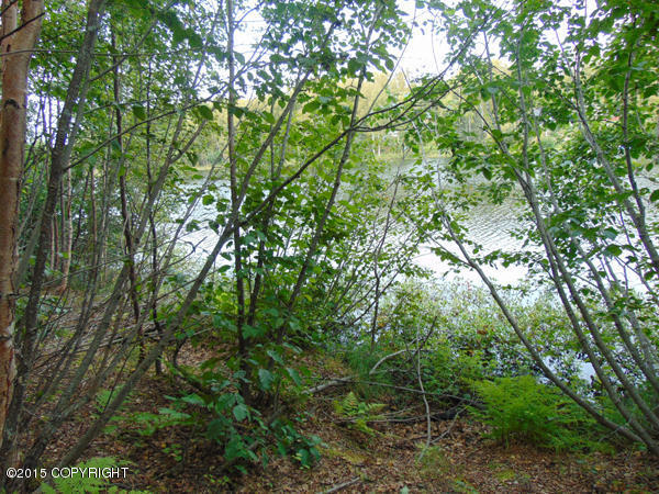 3616 S Dawn Lake Drive, Wasilla, AK 99654