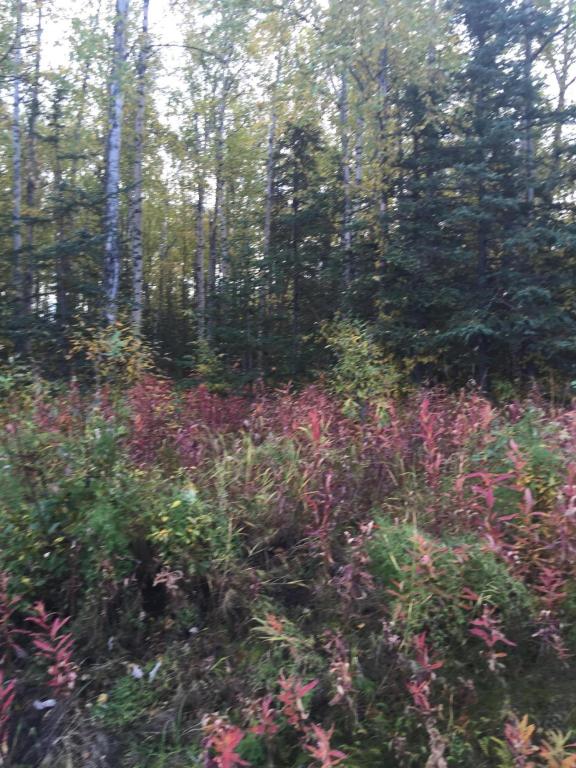 1400 W Minnetonka Dr, Wasilla, United States 99654