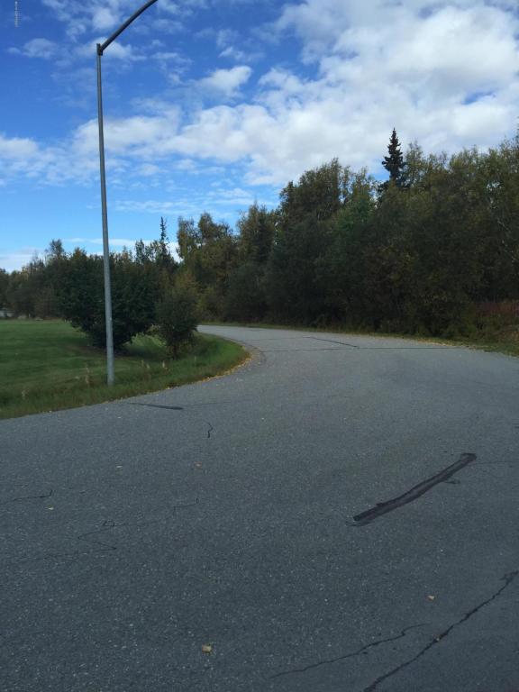 1400 W Minnetonka Dr, Wasilla, United States 99654