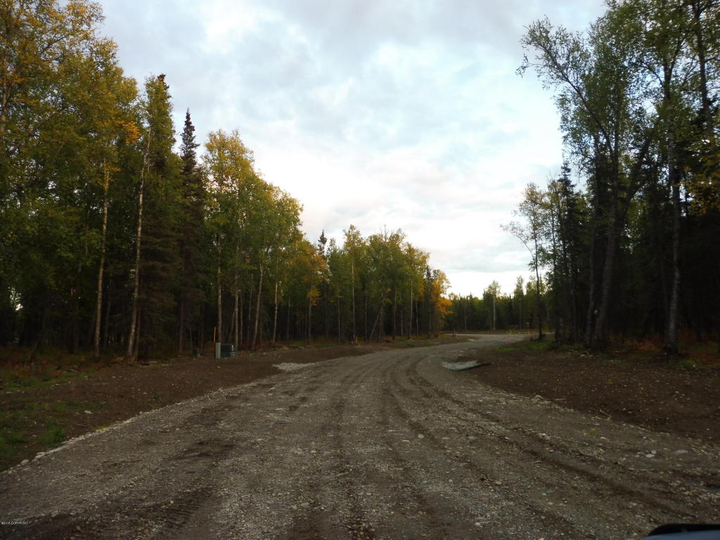 L20 E Snowy Pass Circle, Wasilla, AK 99654
