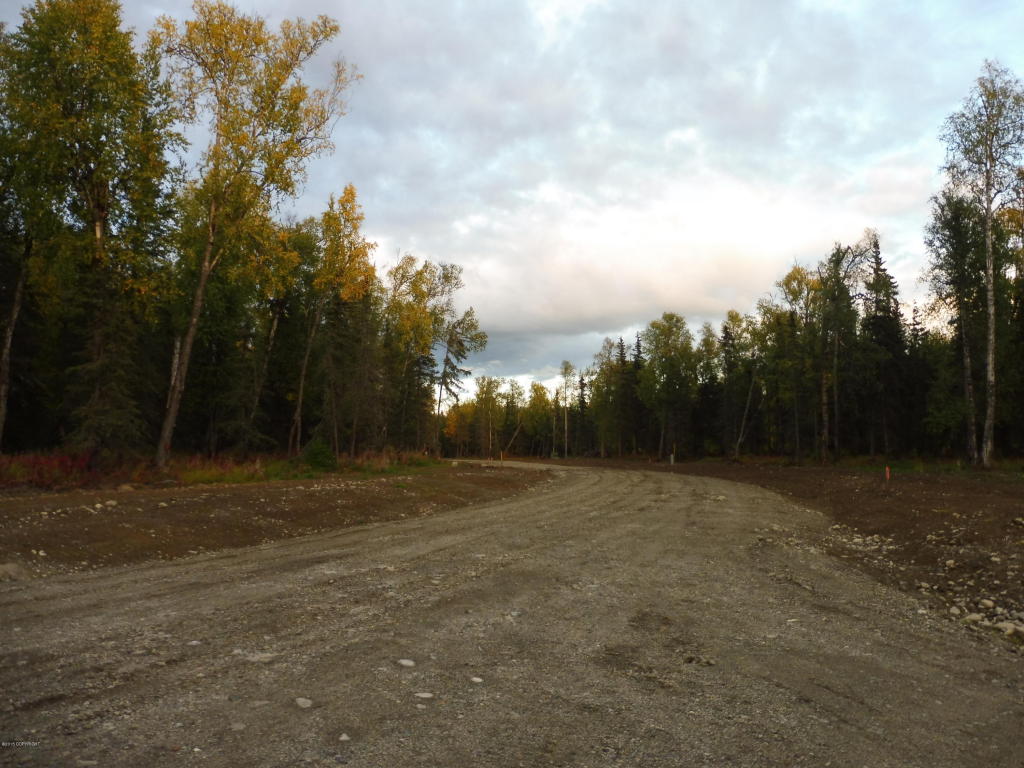 L15 E Snowy Pass Circle, Wasilla, AK 99654