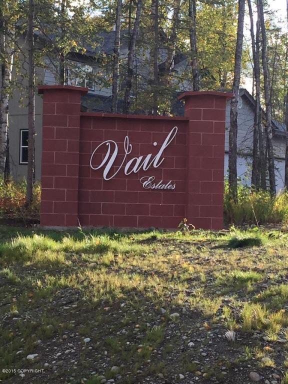 L13 B1 Buttermilk Circle, Wasilla, AK 99654