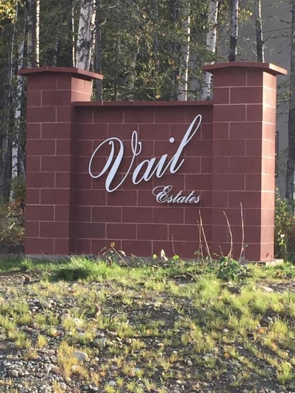 L15 B1 Telluride Circle, Wasilla, AK 99654