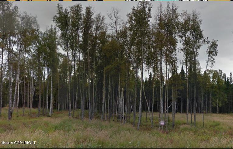 1654 W Gold Bar Road, Wasilla, AK 99654