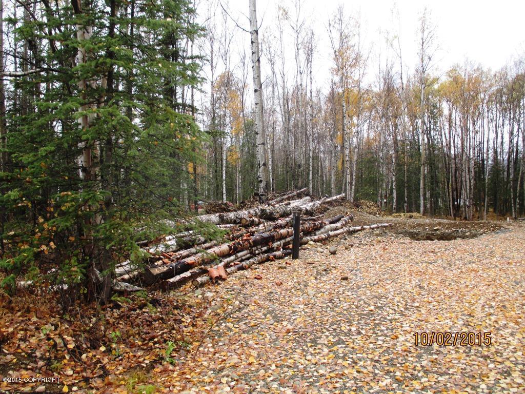 5231 E McDowell Road, Wasilla, AK 99654