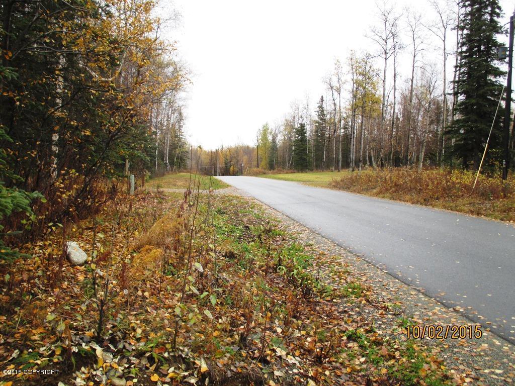 5231 E McDowell Road, Wasilla, AK 99654