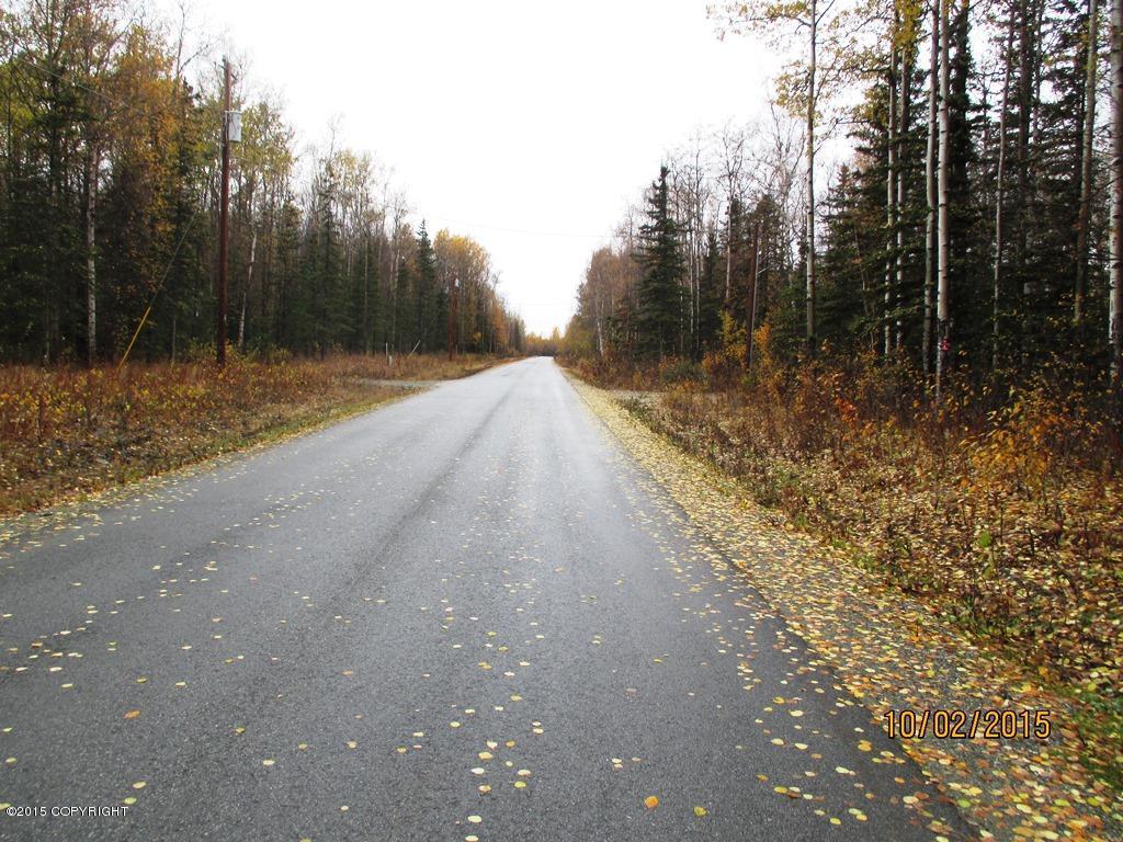 5231 E McDowell Road, Wasilla, AK 99654