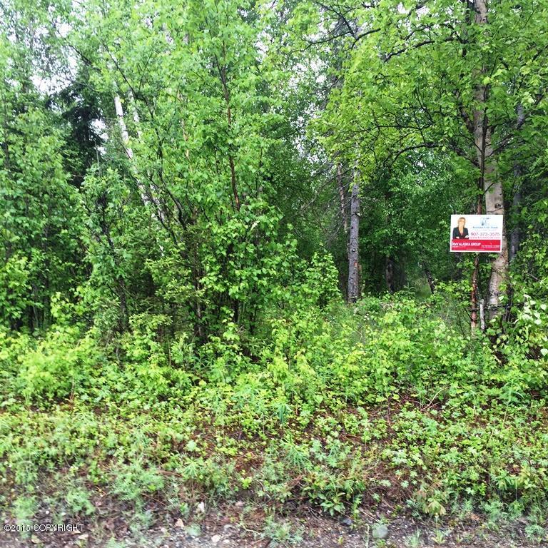 2065 E Caribou Loop, Wasilla, AK 99654