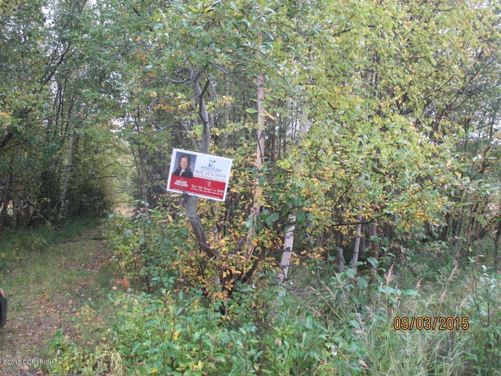 3585 N Plover Circle, Wasilla, AK 99654