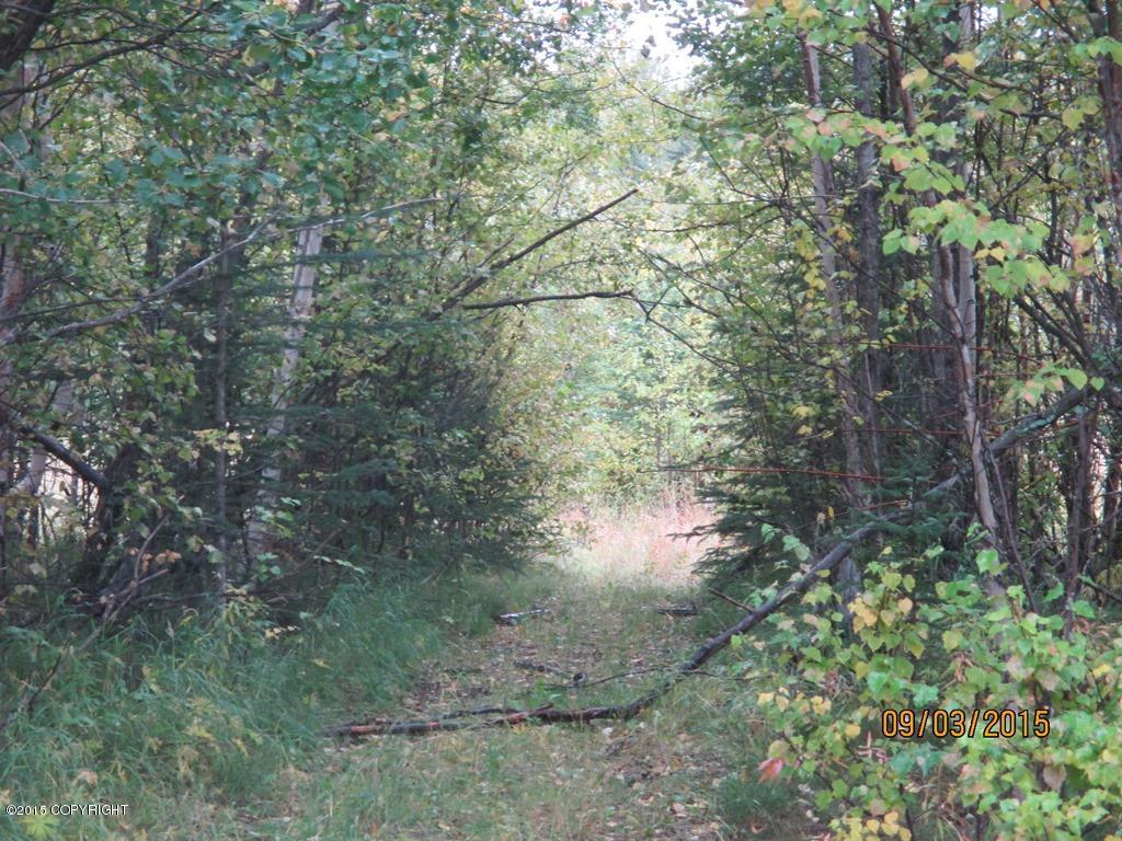 3585 N Plover Circle, Wasilla, AK 99654