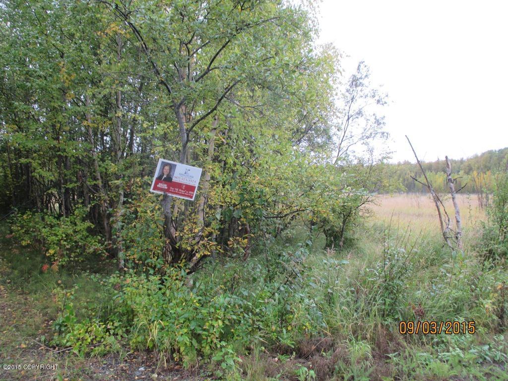 3585 N Plover Circle, Wasilla, AK 99654