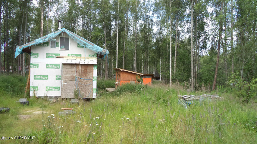 9246 S Overlook Drive, Wasilla, AK 99654