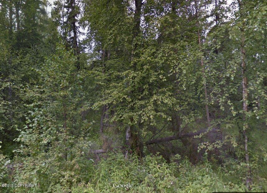 1961 W Bailey Avenue, Wasilla, AK 99654