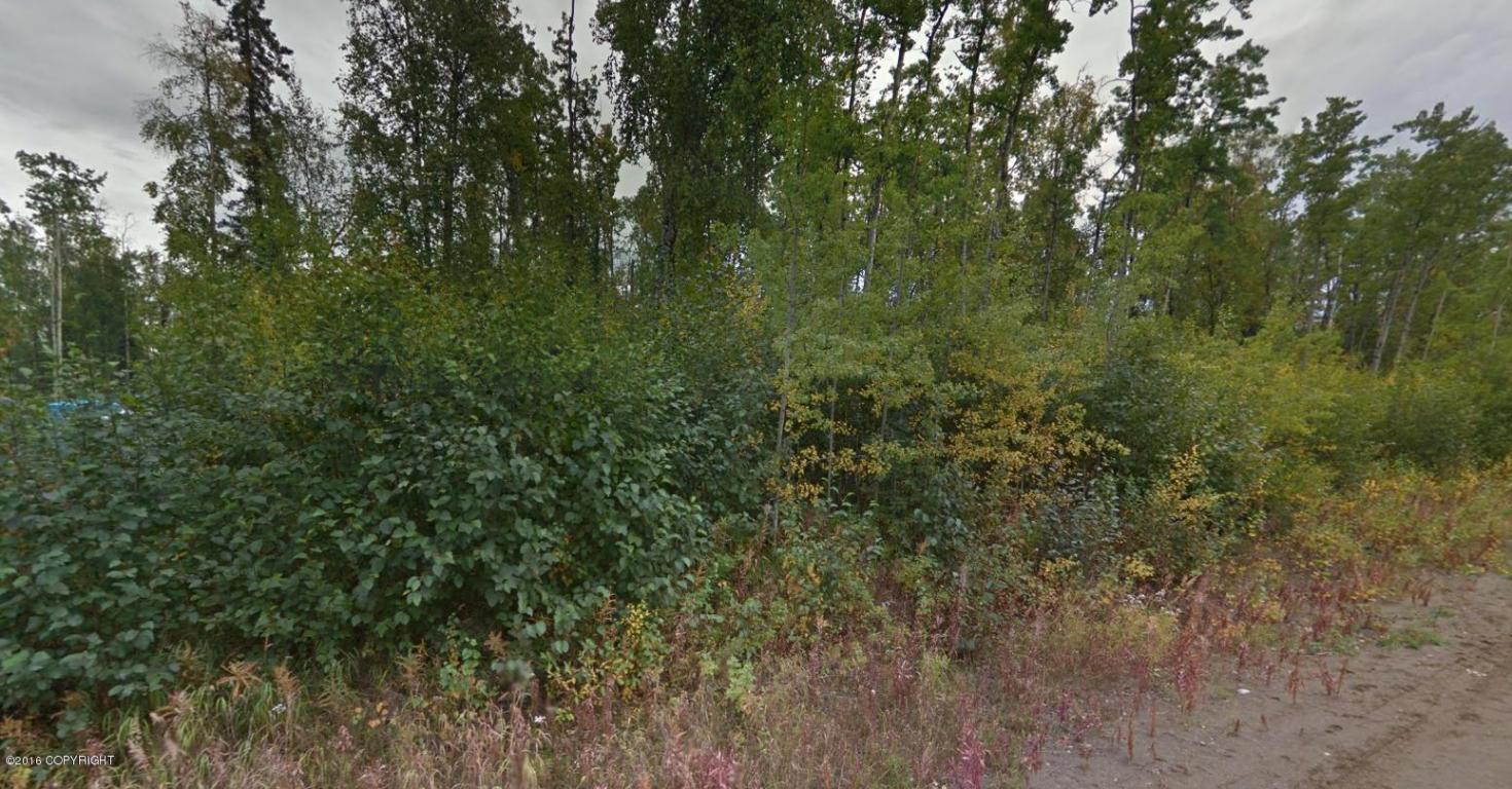 11251 S Homestead Drive, Wasilla, AK 99654