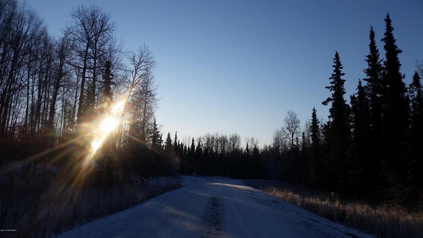 4289 N Sandhill Crane St, Wasilla, United States 99654