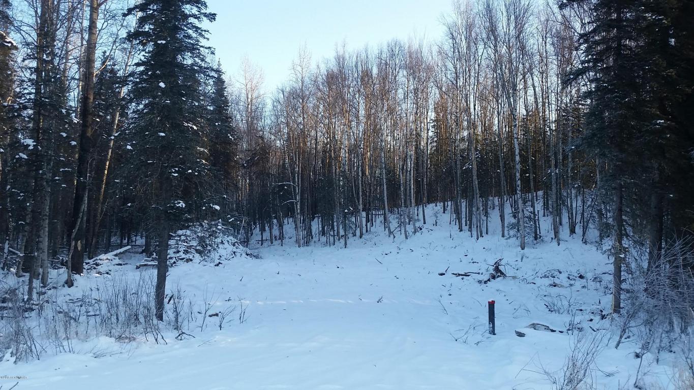 4289 N Sandhill Crane St, Wasilla, United States 99654