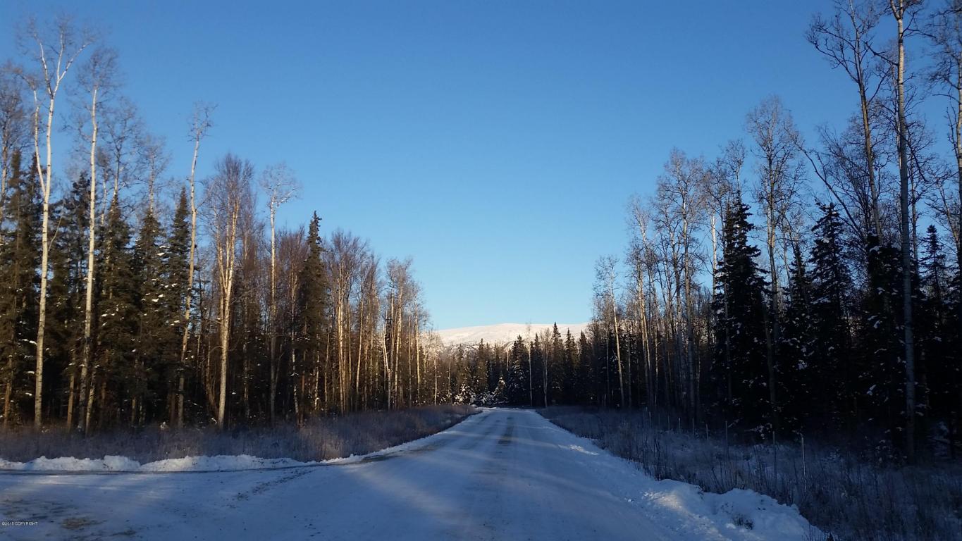 4289 N Sandhill Crane St, Wasilla, United States 99654