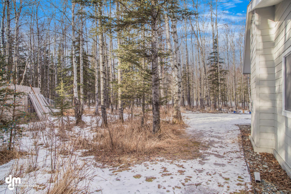 7310 N False Pass Circle, Wasilla, AK 99654
