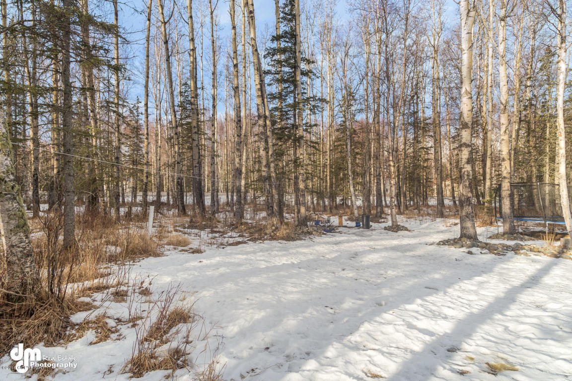 7310 N False Pass Circle, Wasilla, AK 99654