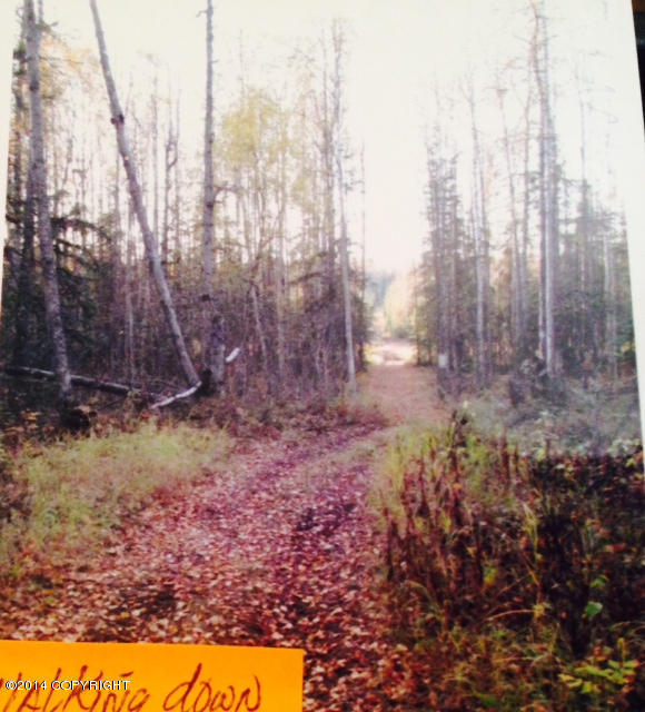 10201 S Pepin-Myers Street, Wasilla, AK 99654