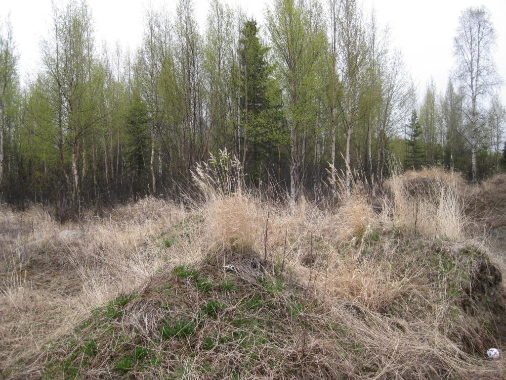 L2-4 B2Linger Ln, Soldotna, United States 99669