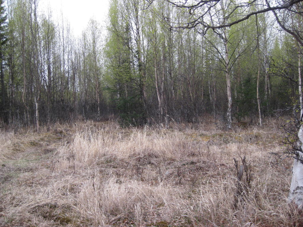 L2-4 B2Linger Ln, Soldotna, United States 99669