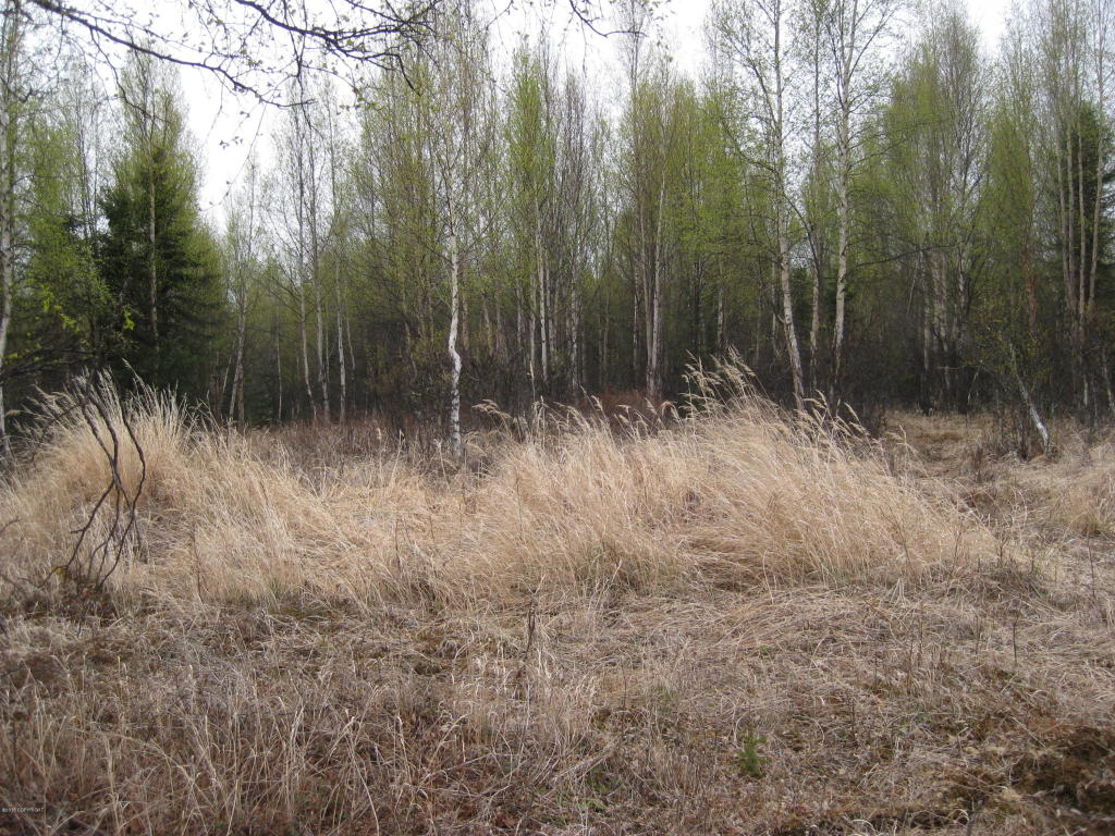 L2-4 B2Linger Ln, Soldotna, United States 99669