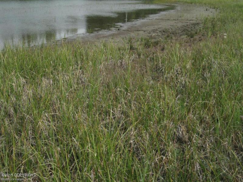 35200Walton Way, Soldotna, United States 99669