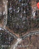 33100 Laura Jean Circle, Soldotna, AK 99669