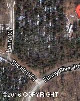 41730 Sacaloff Drive, Soldotna, AK 99669