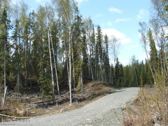 L6 B3Myla Dr, Soldotna, United States 99669