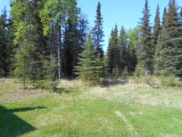 34795 Kustatan StSoldotna, AK, 99669Kenai Peninsula County