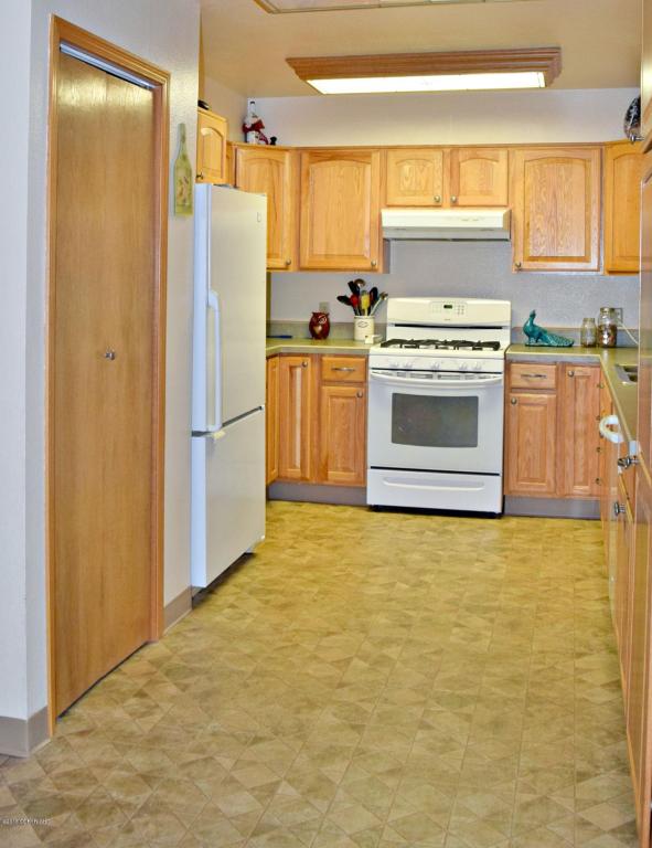 48350Patsy Ct, Soldotna, United States 99669