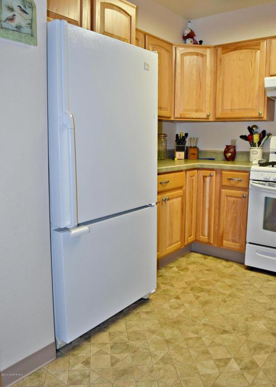 48350Patsy Ct, Soldotna, United States 99669