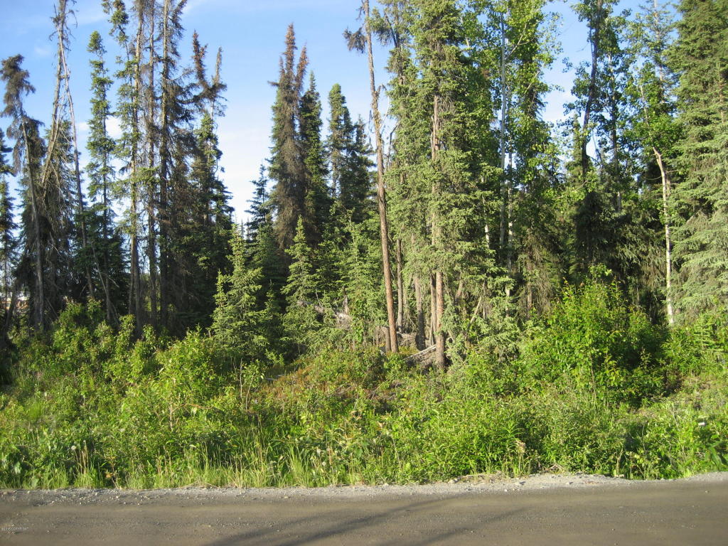 42279Sterling Hwy, Soldotna, United States 99669