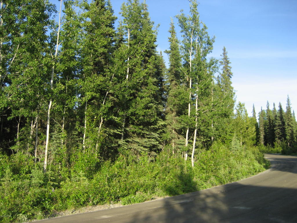 42279Sterling Hwy, Soldotna, United States 99669