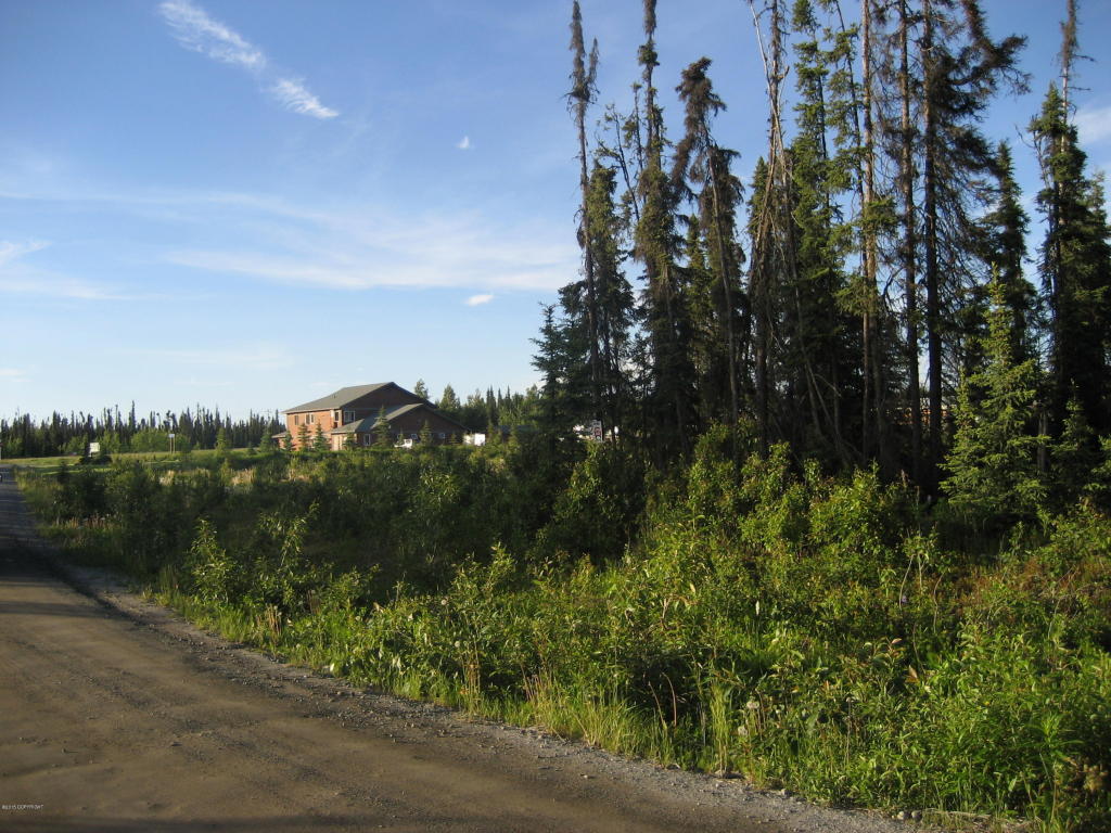 42279Sterling Hwy, Soldotna, United States 99669