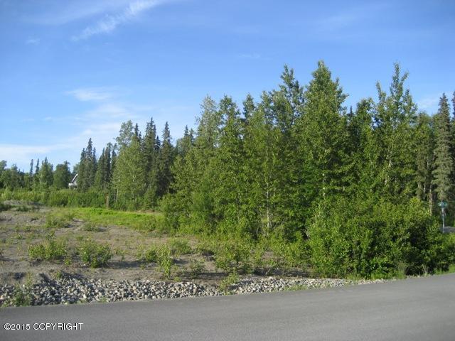 42279Sterling Hwy, Soldotna, United States 99669