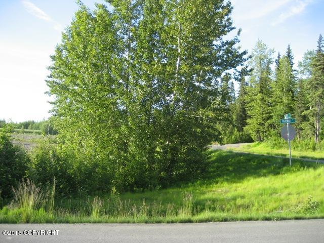 42279Sterling Hwy, Soldotna, United States 99669