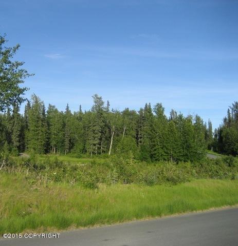 42279Sterling Hwy, Soldotna, United States 99669